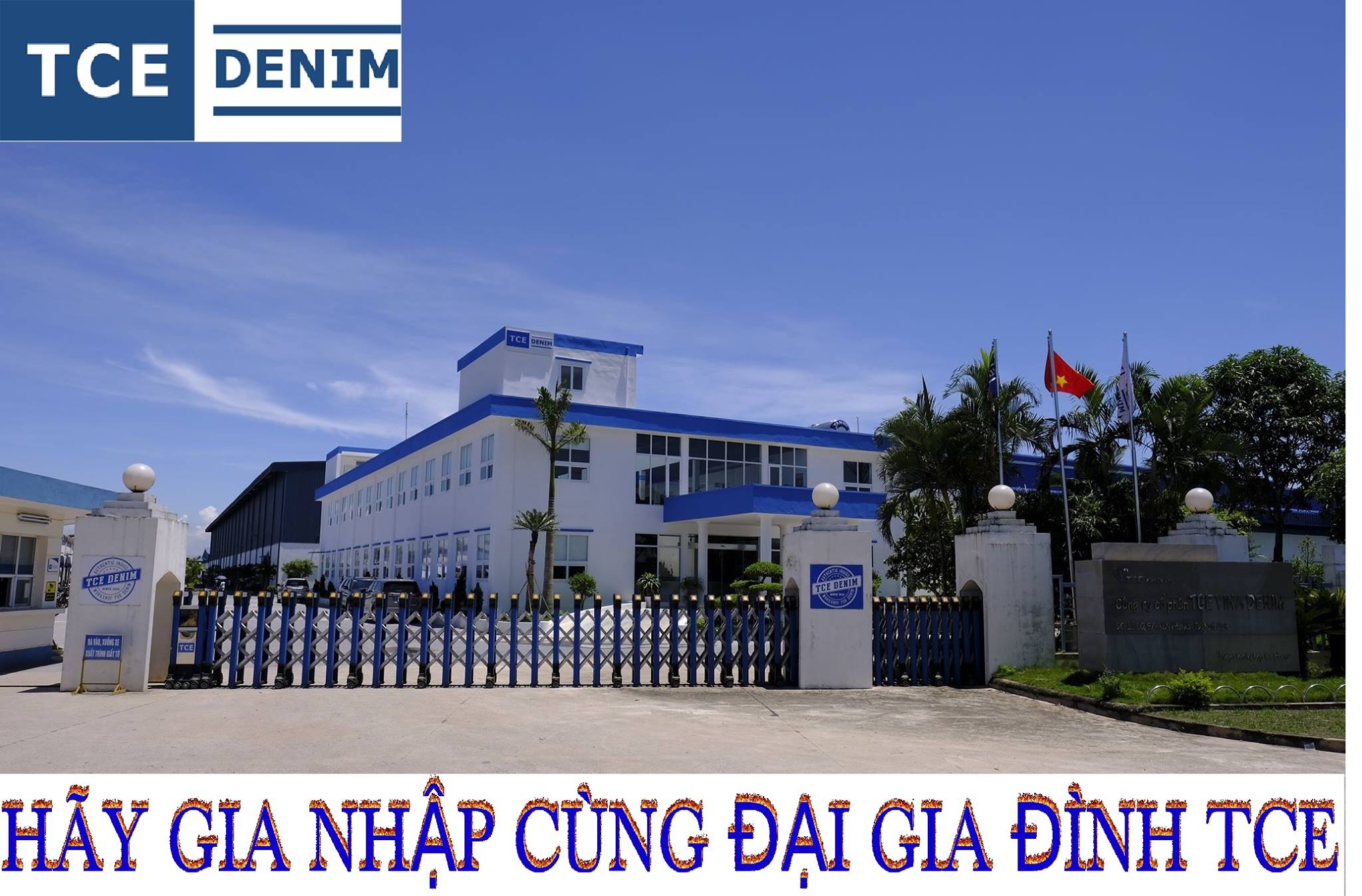 81fedba8428ab24550711496e46a67d3