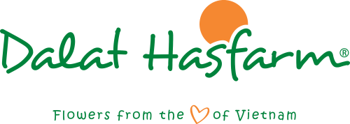 Bd90be1a818775a1b7210eab55da5b17